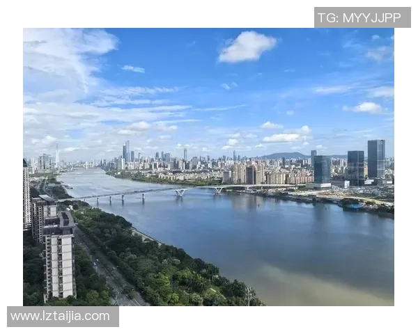 广州排球队的奋斗历程与洲际杯荣耀之路揭秘